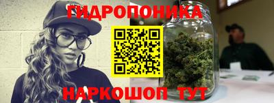 индика Кинель