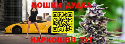 индика Кинель