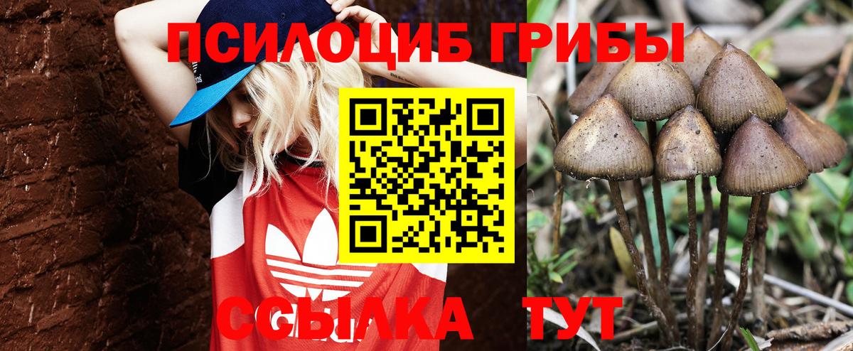 Усинск  Псилоцибиновые грибы Psilocybe  Вход с VPN 